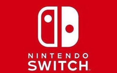 《神界:原罪2》Switch版实体卡带预购开启 可直邮国内