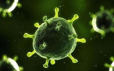 科学家在巴西发现新型病毒 90%以上的基因从未见过