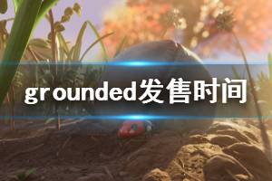 《Grounded》什么时候发布 游戏发售时间介绍